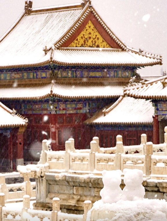 DENTAL ON LINE tweet media