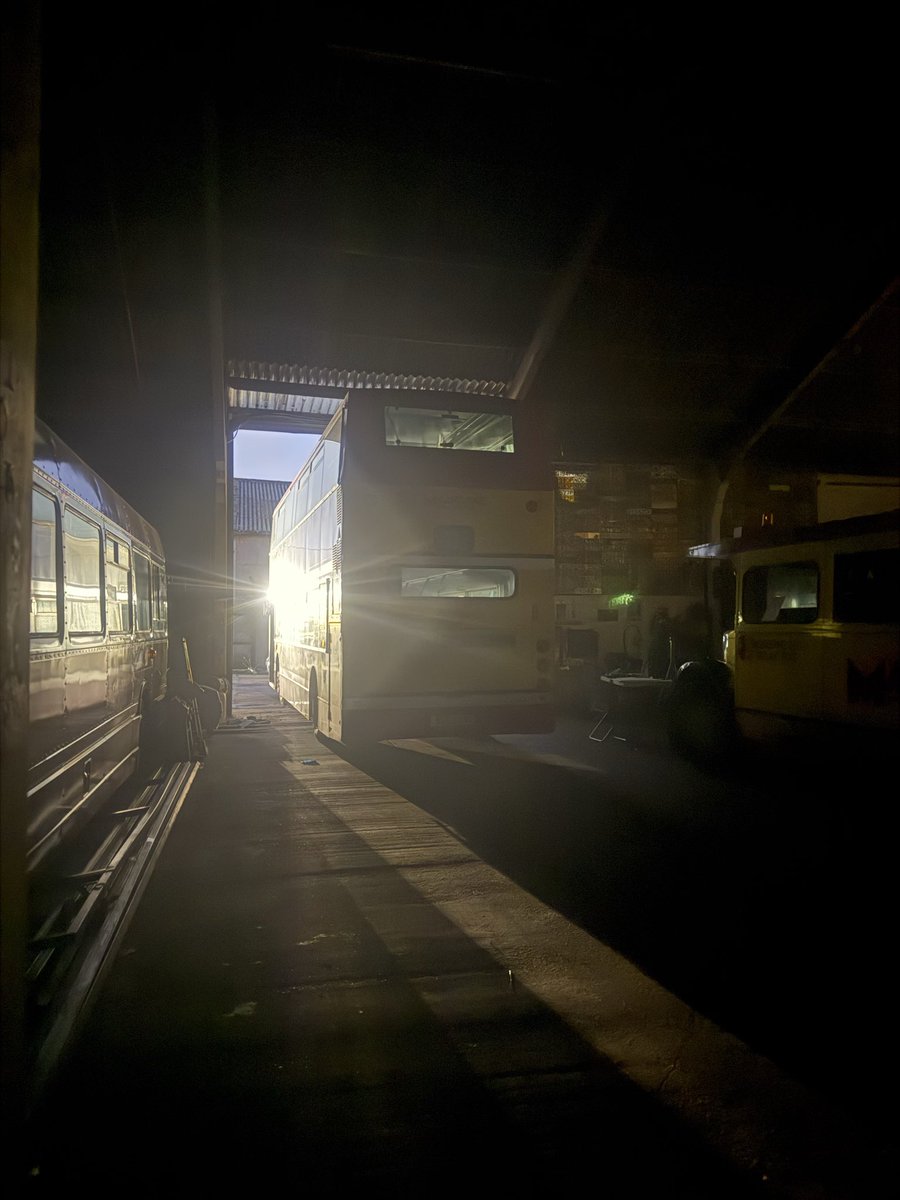 Connie 🏳️⚧️ tweet media