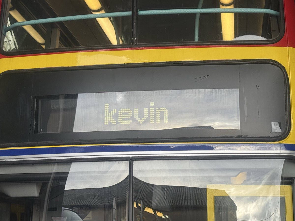 Connie 🏳️⚧️ tweet media