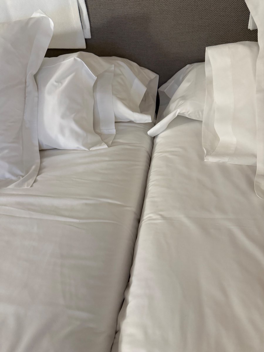 Charlotte Lee tweet media