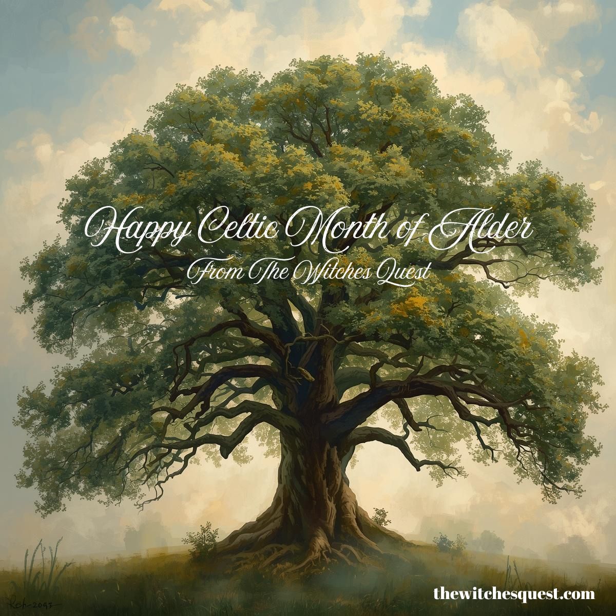 The Witches' Quest tweet media