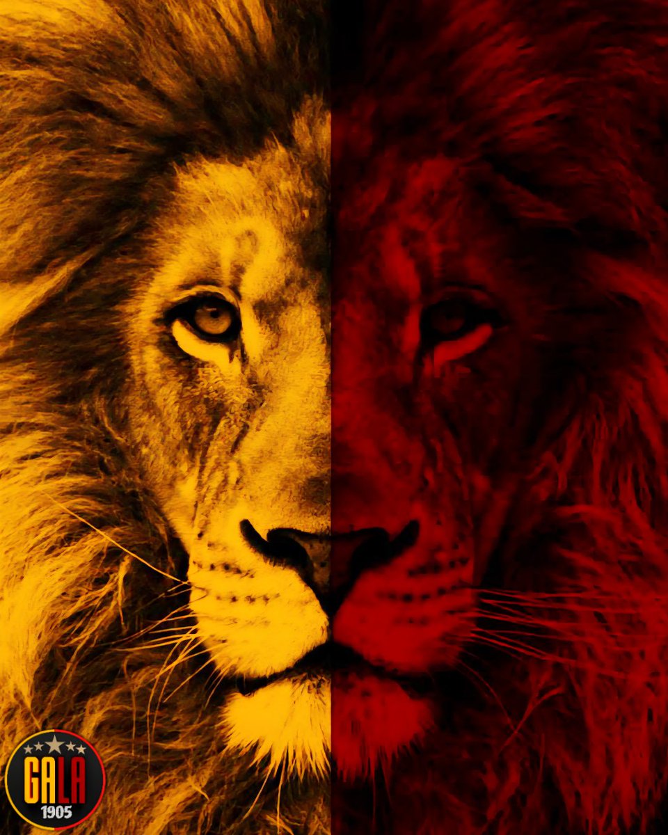 Context of GALA¹⁹⁰⁵ tweet media