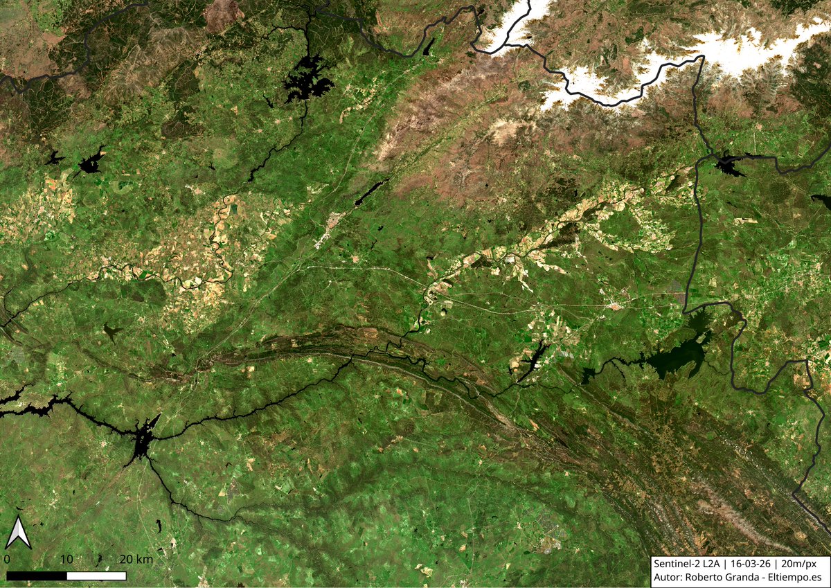 Roberto Granda tweet media
