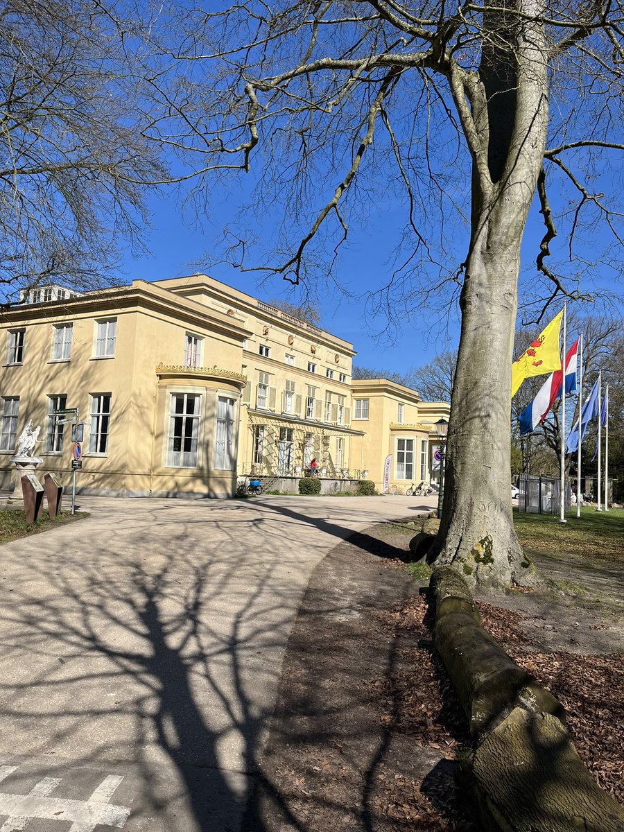 Arnold van Rhijn tweet media