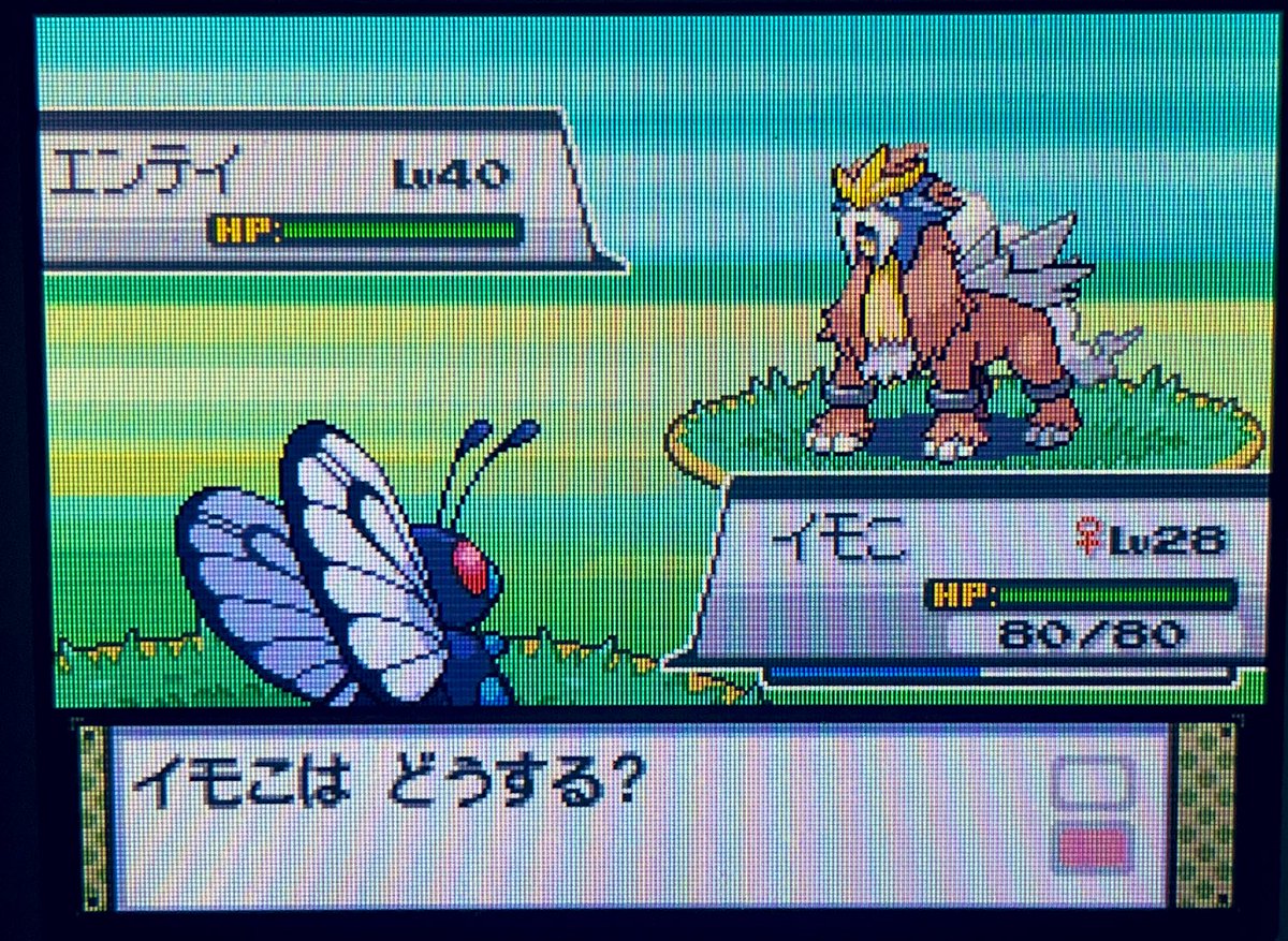 ぴーまん tweet media