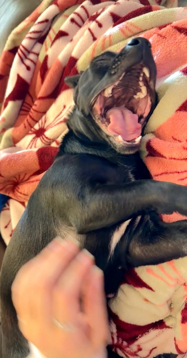 𝒜𝓃𝑔𝑒𝓁🪽 tweet media