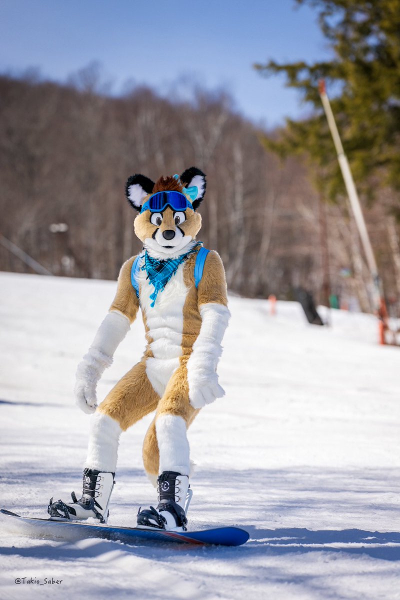 Bazel 🌸 tweet media