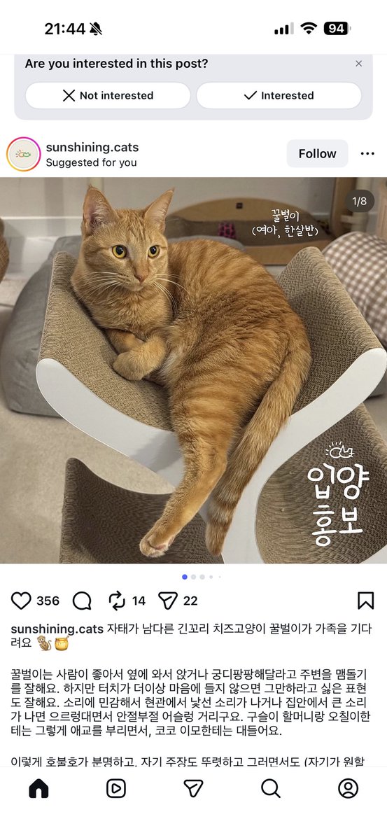 bluexmas47's tweet photo. 오랜만에 꿀벌이 입양 홍보 올라왔네 예쁘게 잘 컸다 좋은 가족 만나기를 https://t.co/ByNvmWzFJH
