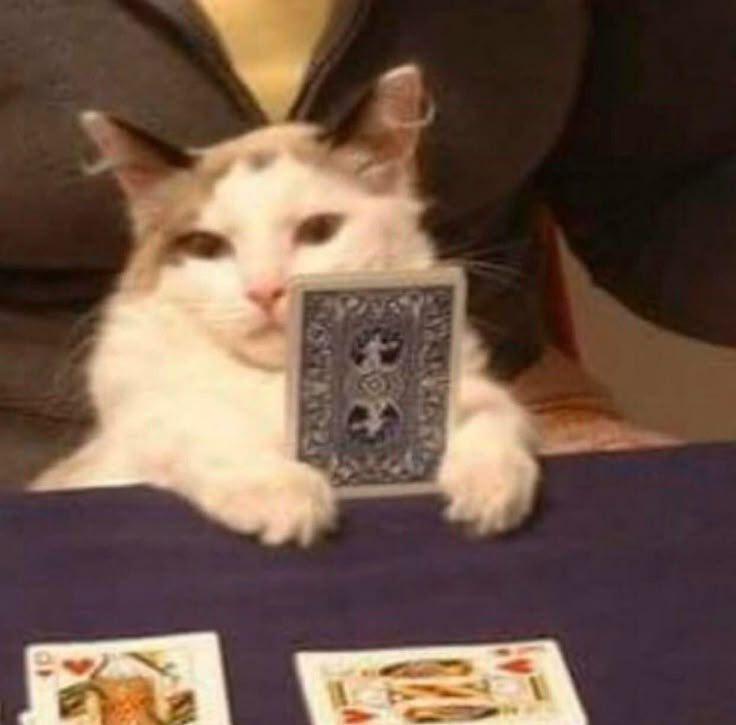 Imagina falar mal de mim enquanto eu estou no meu quarto assim