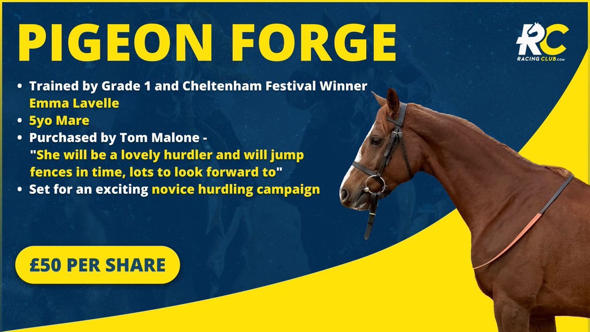 GingerJoeRacing's tweet photo. 🐴WIN RACEHORSE OWNERSHIP!🐴

➡️Name: Pigeon Forge
➡️Trained by: Emma Lavelle

Pigeon Forge has had two starts to date, finishing fifth on both occasions. She is a well bred sort who will win plenty!

1️⃣ Follow my account & @Racingclubvip 
2️⃣ Retweet This Post
3️⃣ The more friends tagged, the more entries!
#Giveaway #FreeEntry