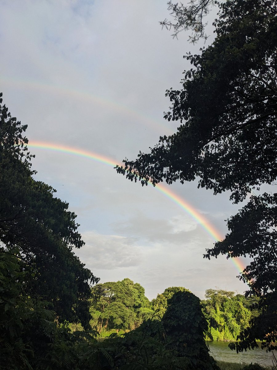 the avinasha tweet media