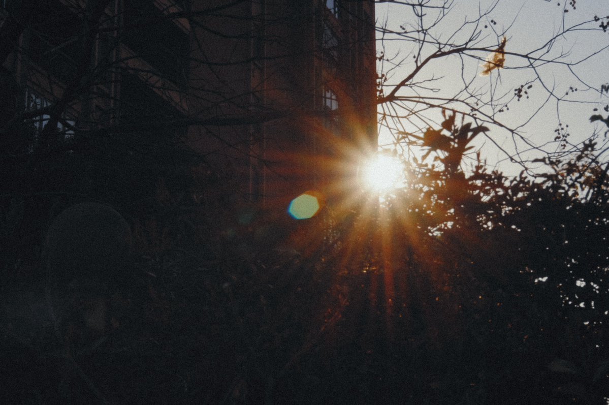 💦爆 漿 魷 魚🐙 tweet media