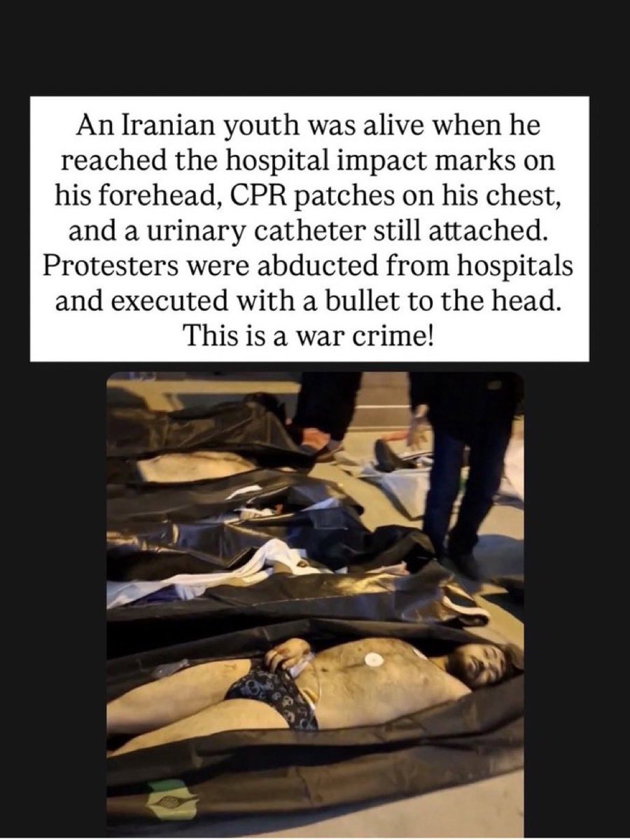 Bernard doherty tweet media