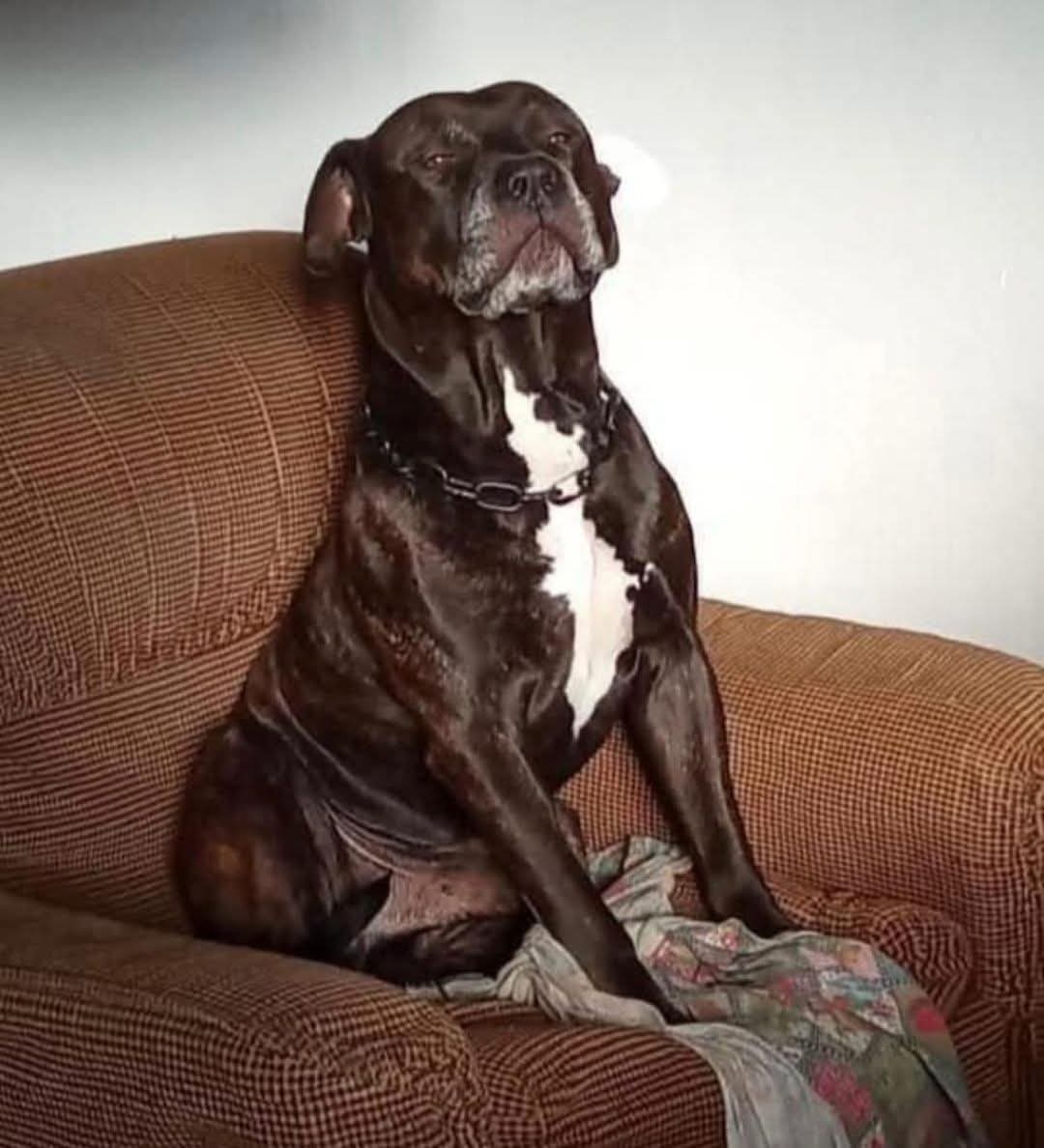 Tiziana Allasia tweet media