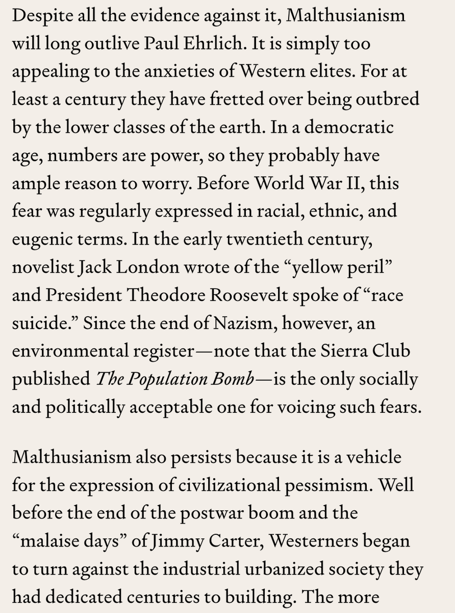 Matthew Schmitz tweet media