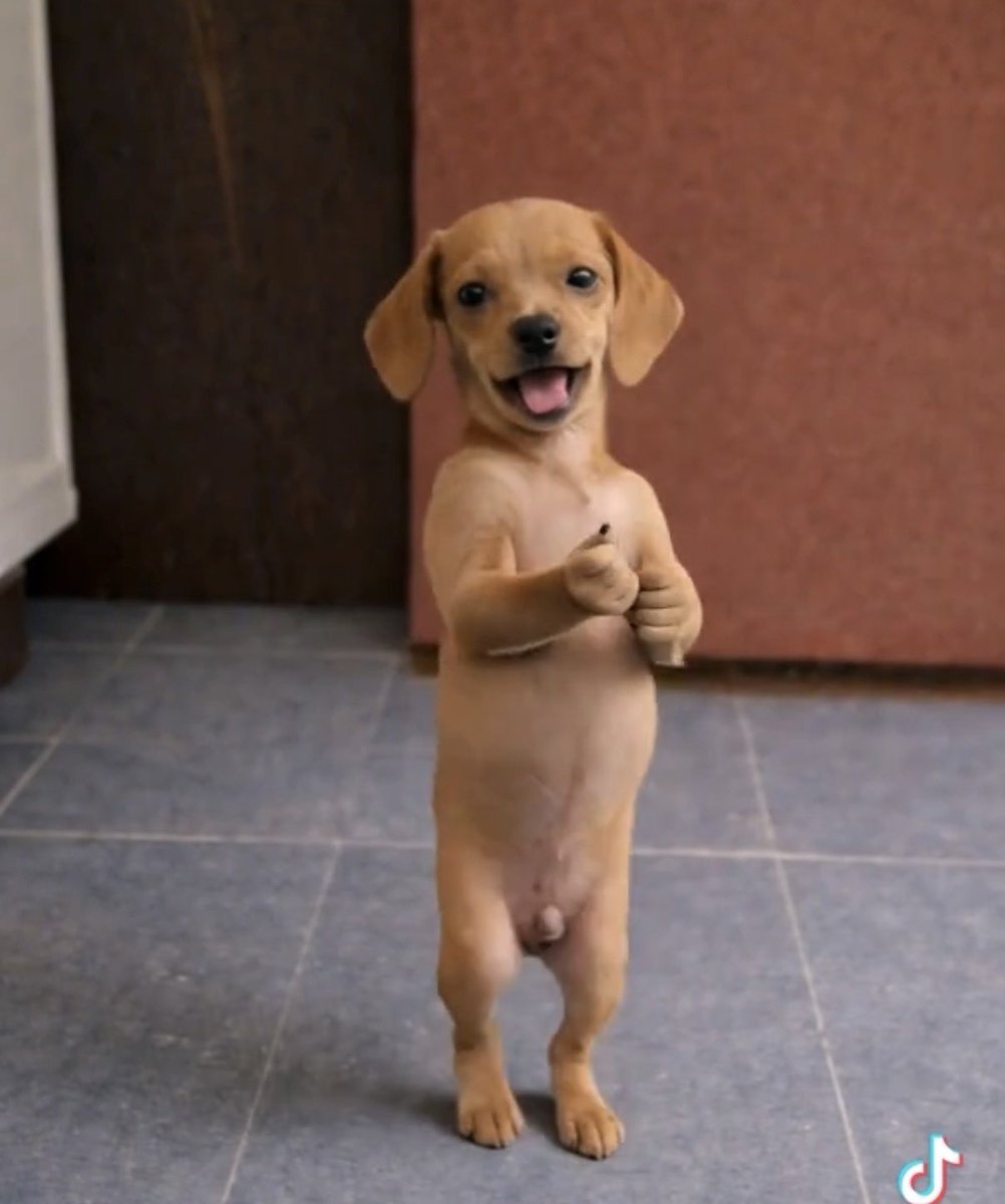 Lo_da prince tweet media