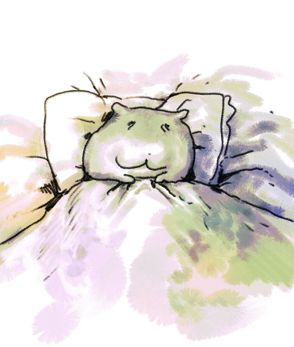 もみにん (@momi_ninn) on Twitter photo 