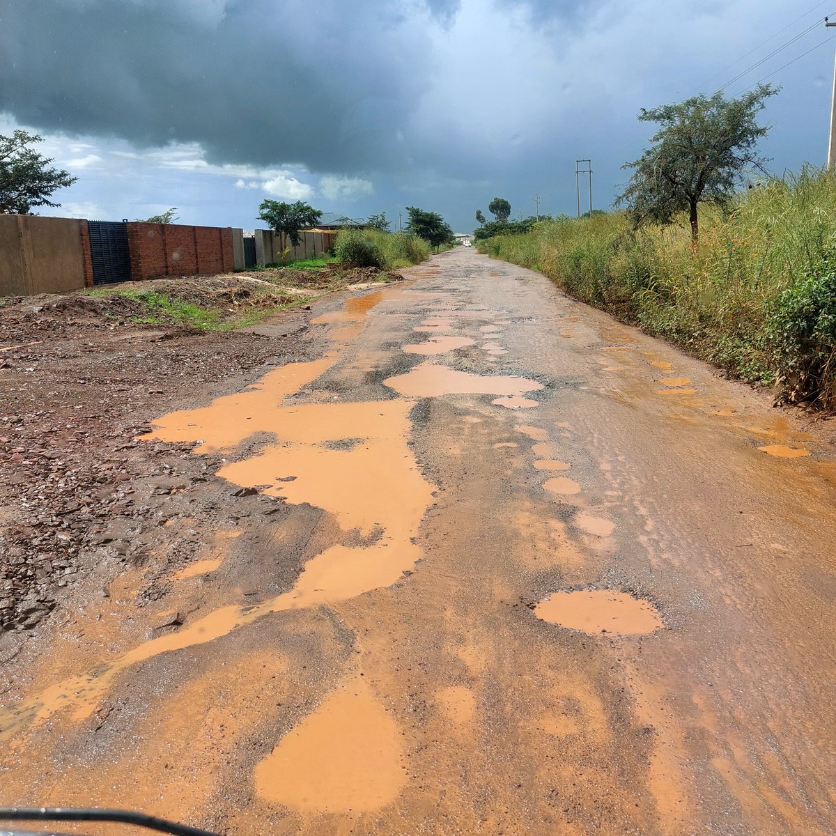 King Zebra263 tweet media