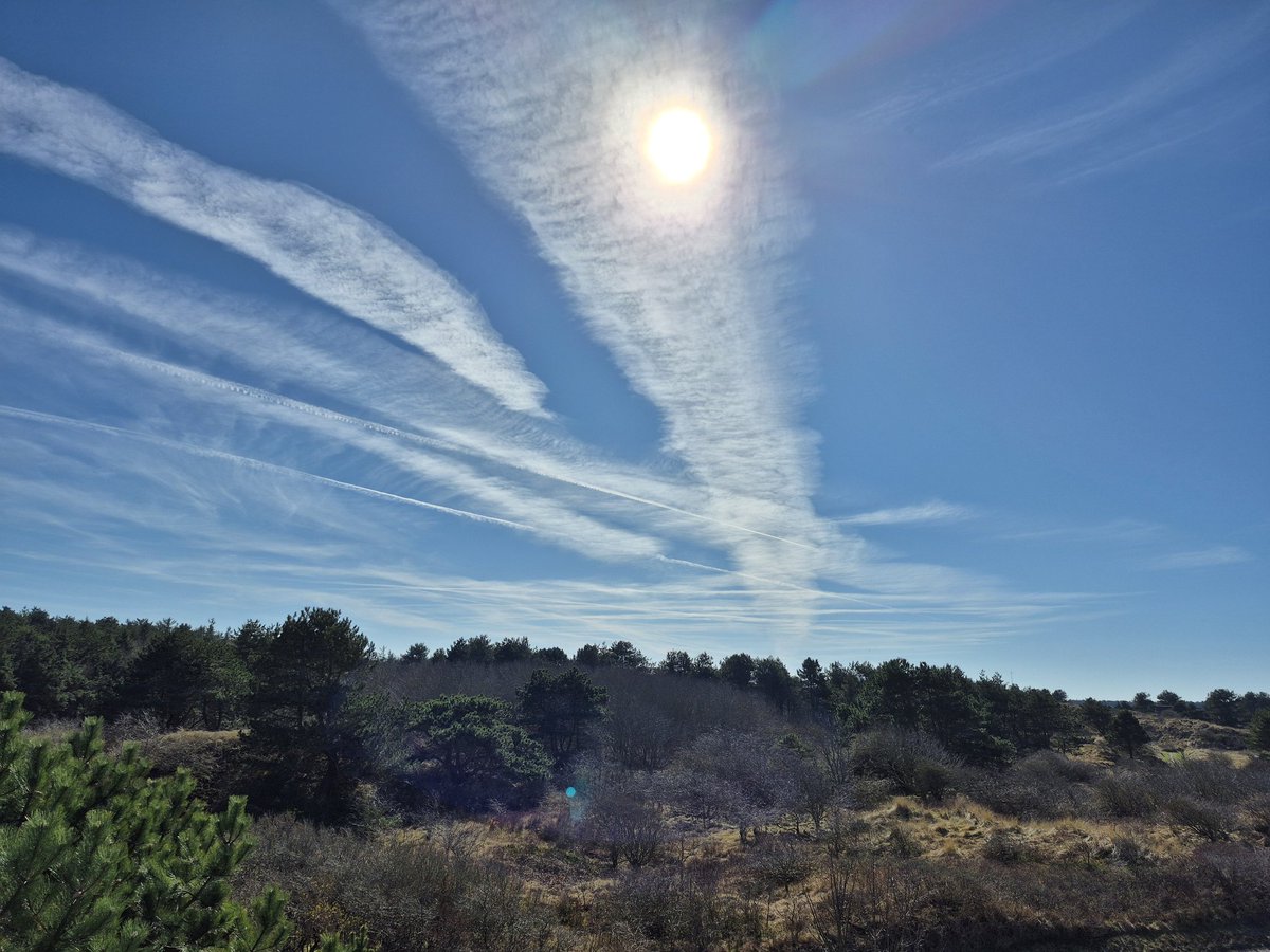 Gerko 🇳🇱 tweet media