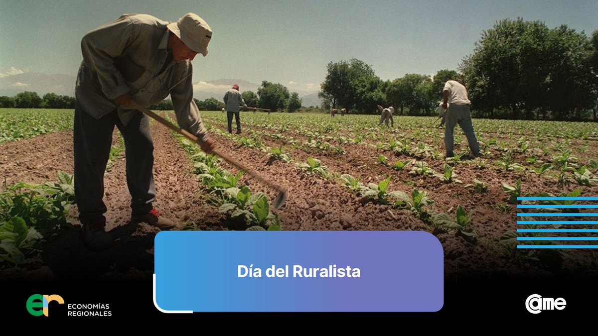 CAME - E. Regionales tweet media