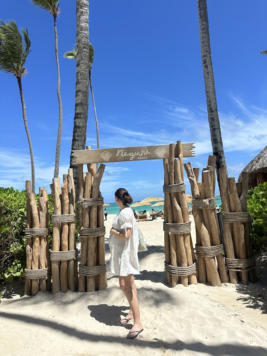 Averi ☕️ tweet media