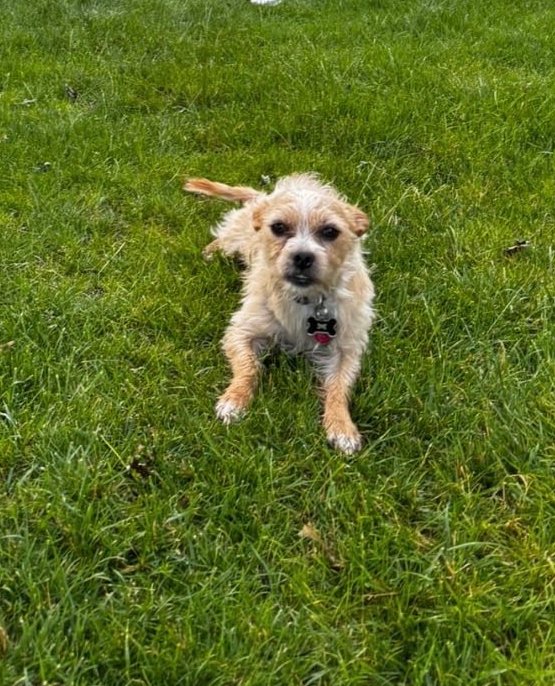 Christine J Arepaki tweet media