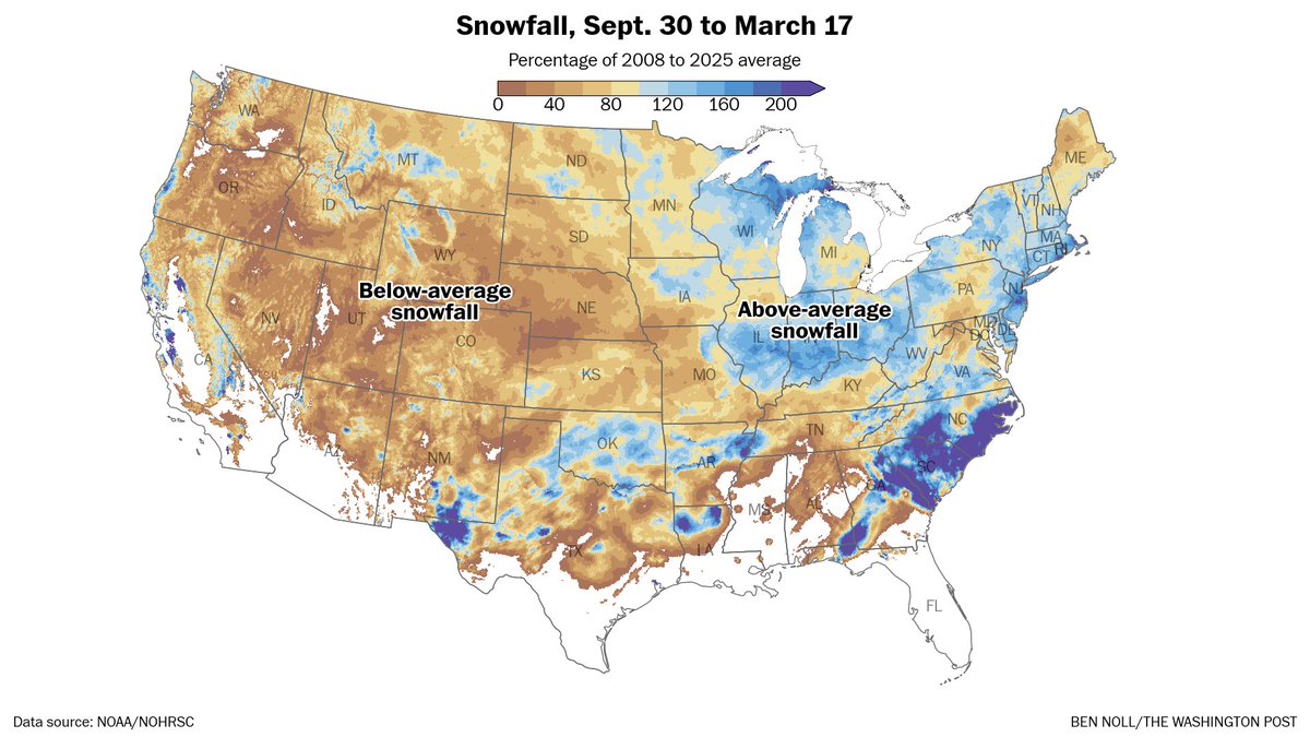 Ben Noll tweet media