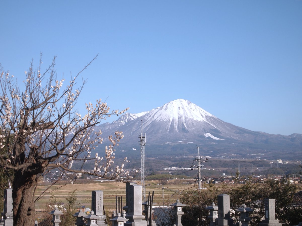 米子力研究所 tweet media