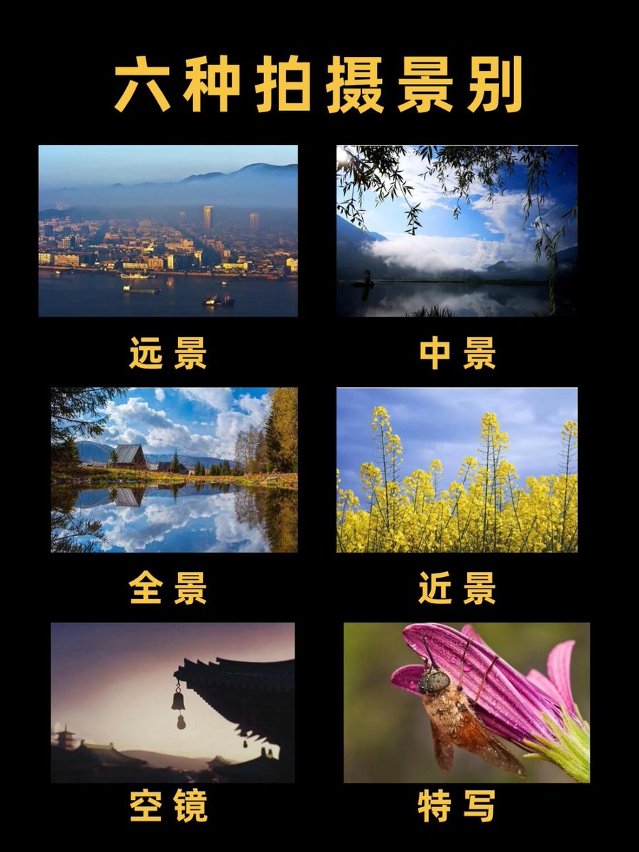 Shane Streeter tweet media