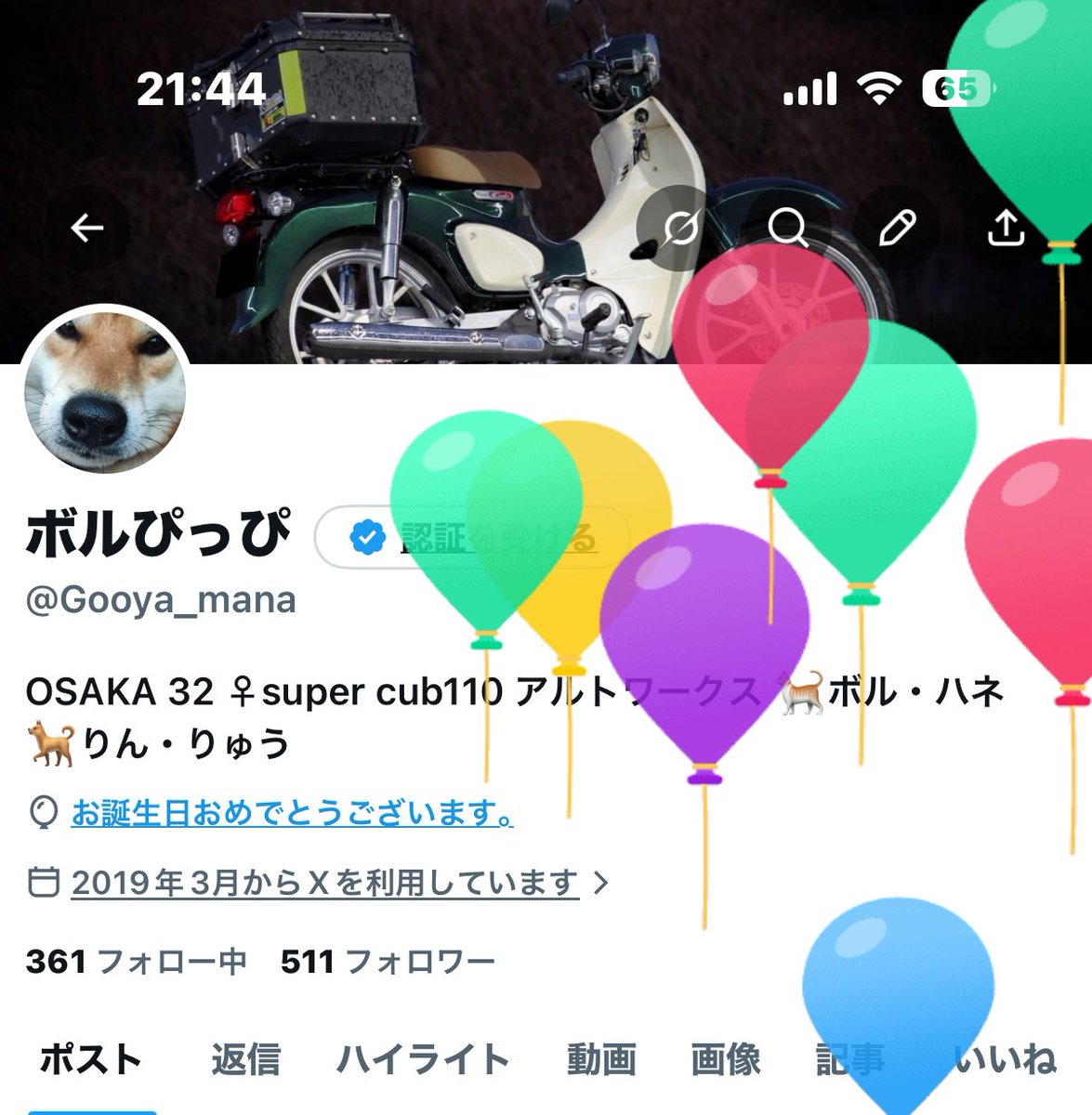 ボルぴっぴ tweet media