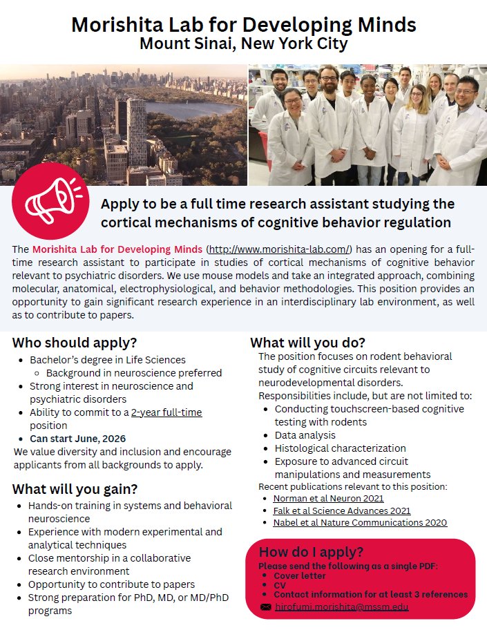 Hiro Morishita tweet media