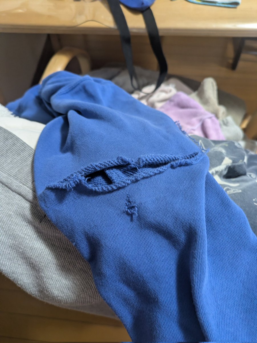 エクレア(イレイナ)@雑多垢 tweet media