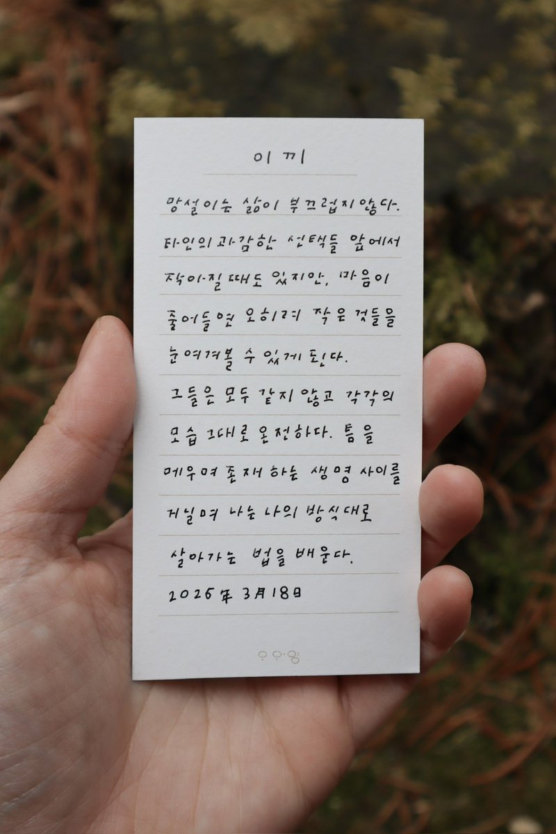 오와영 tweet media