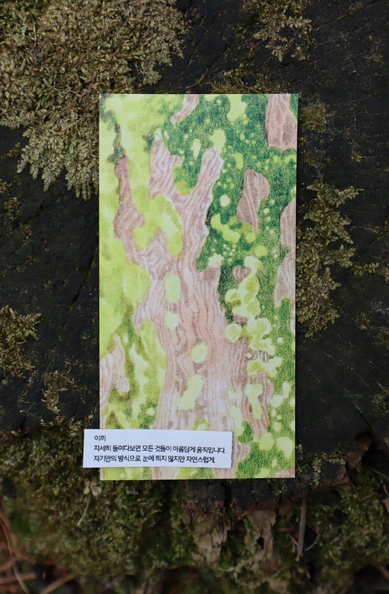 오와영 tweet media