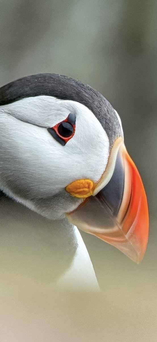 Paul Hackett tweet media