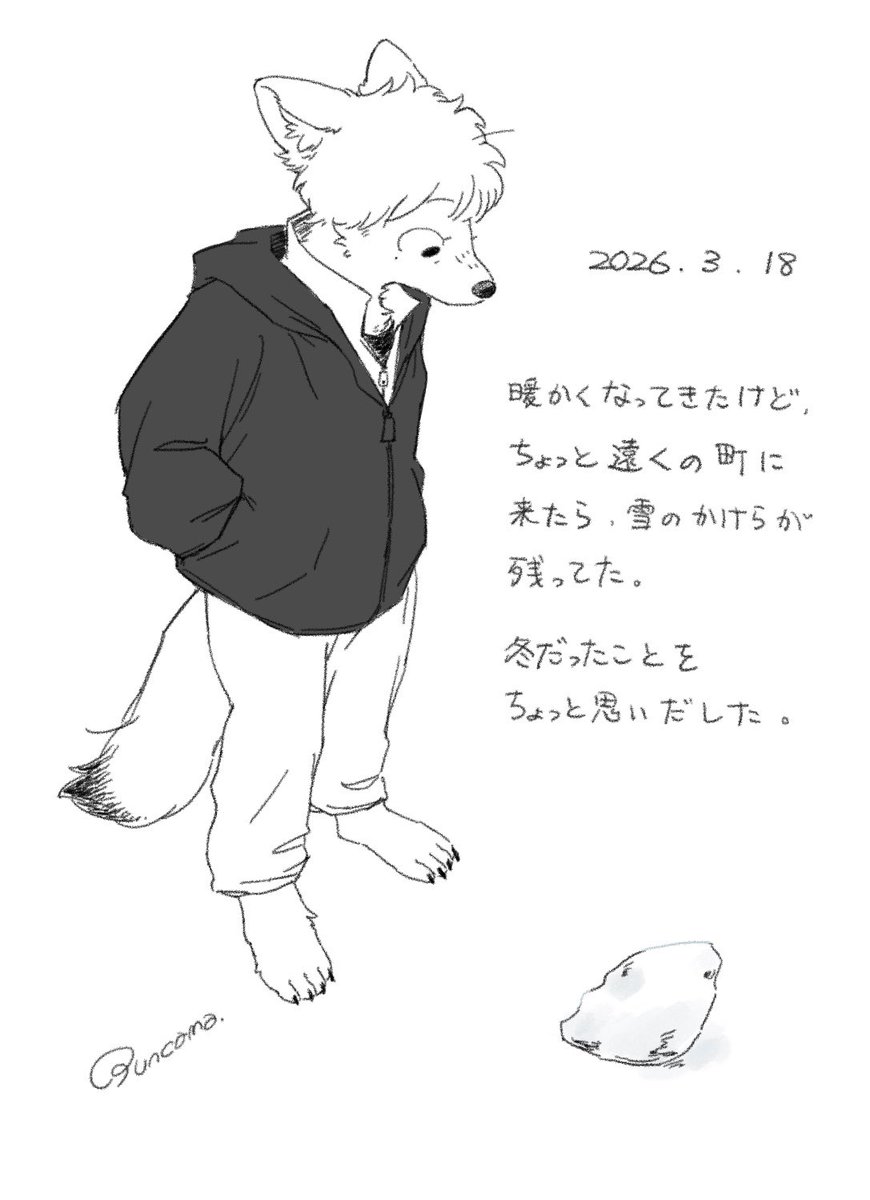 ぶんかま🐰関西けもケA51 tweet media