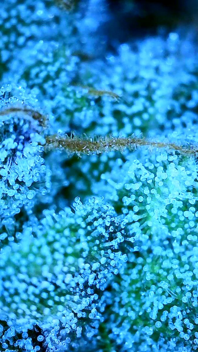 Ray_Jones tweet media