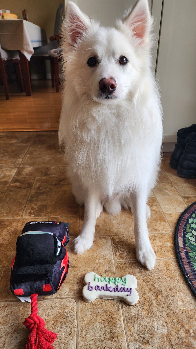 risu komori🐿️🌟小森リス tweet media