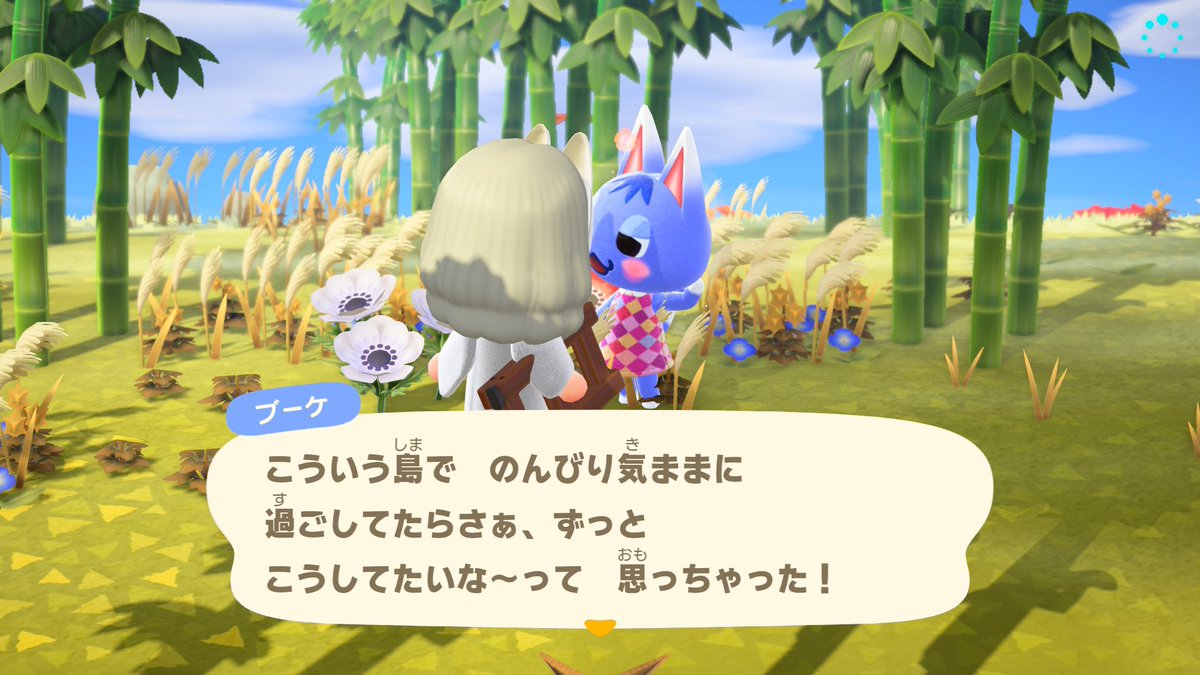 ax73948's tweet photo. ブーケちゃんをお見送りしてジャスミンちゃんをお迎えしました♡ https://t.co/GwDkrcfkdC