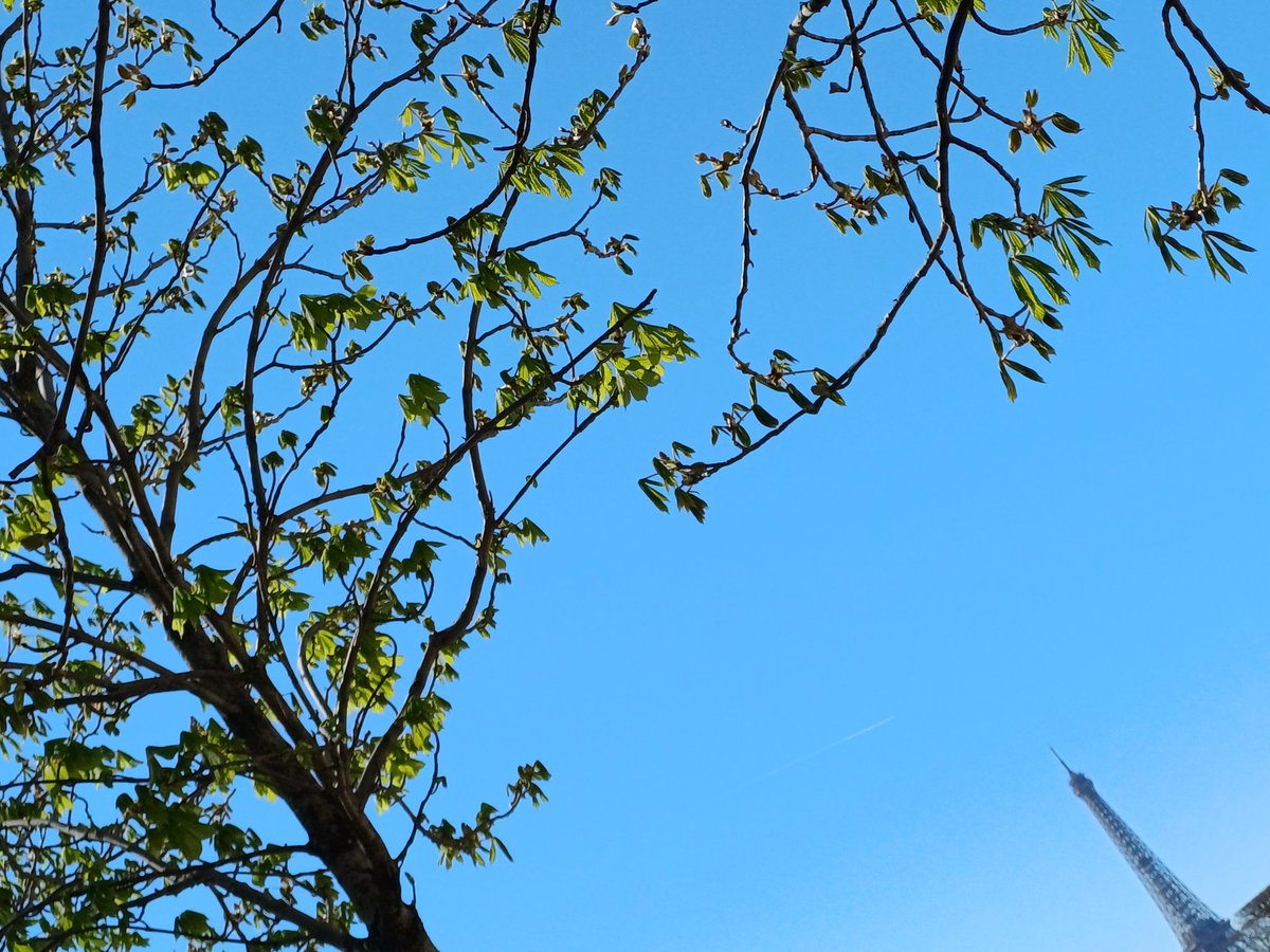 Dominique Ancelet-Netter tweet media