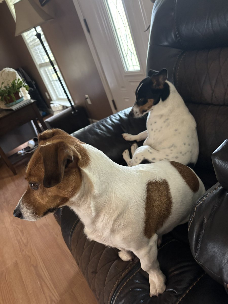 Burnin_T_Ranch tweet media