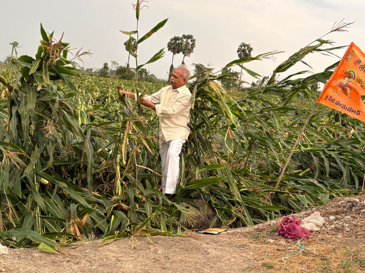 TD Janardhan tweet media