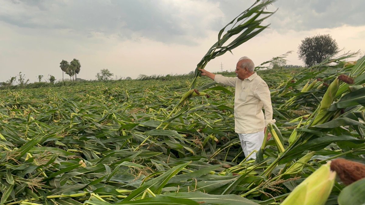 TD Janardhan tweet media