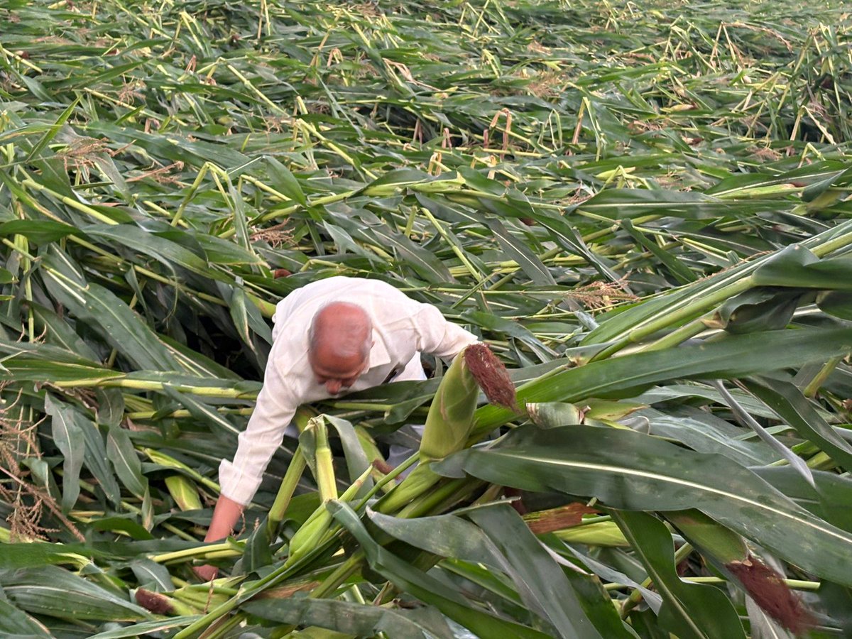 TD Janardhan tweet media