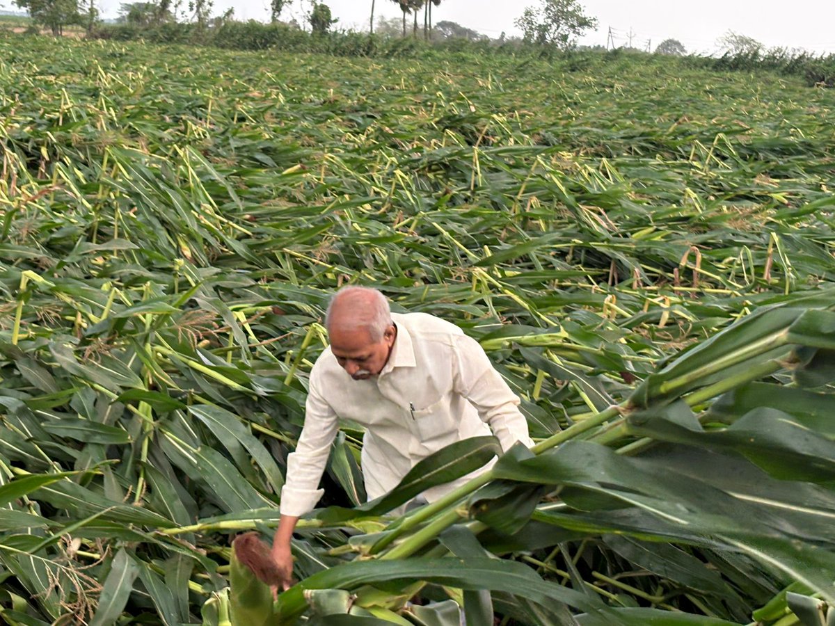 TD Janardhan tweet media