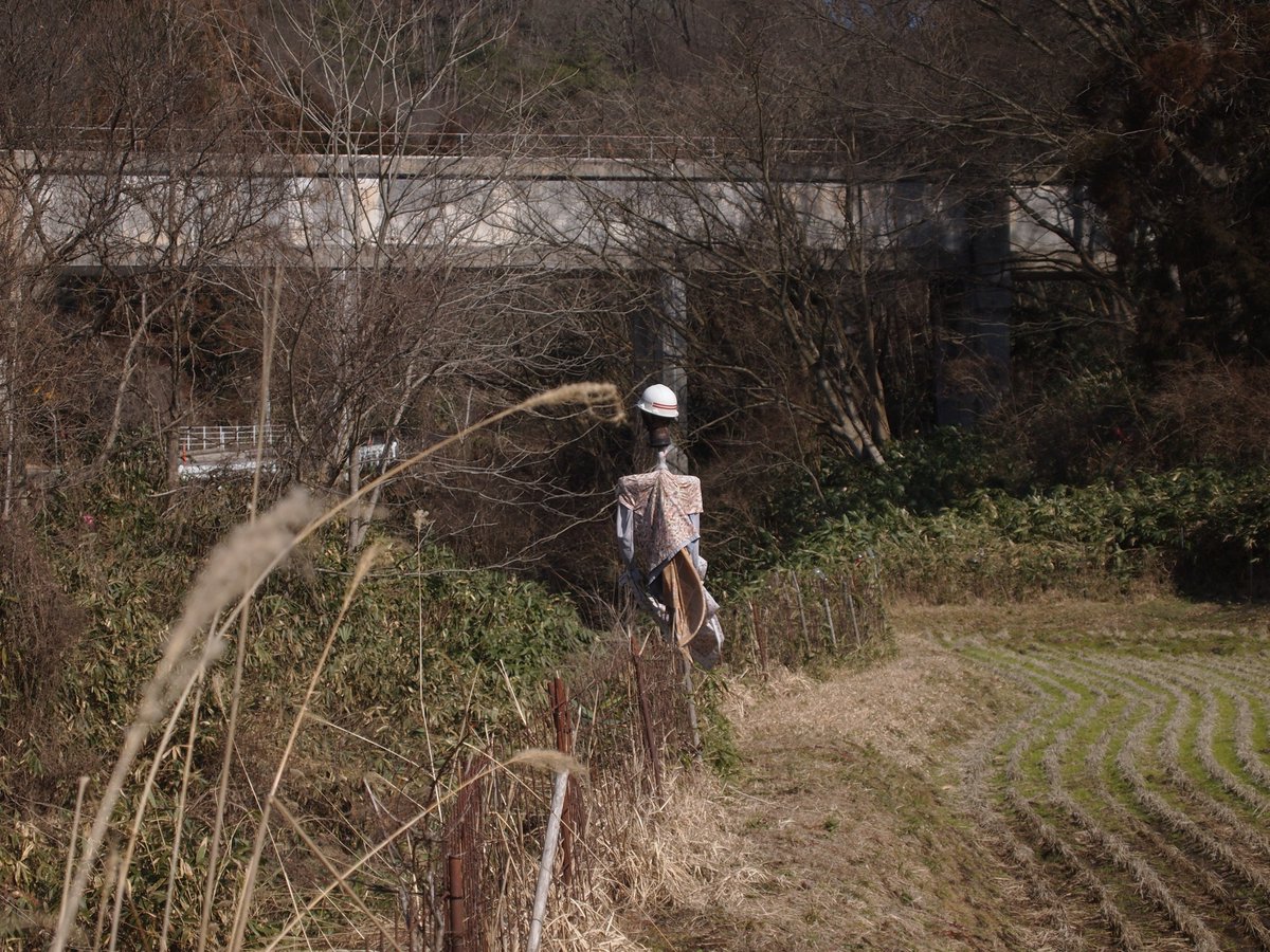 米子力研究所 tweet media