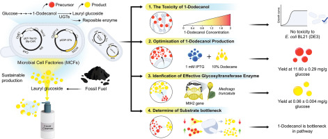 BioDesign Research tweet media