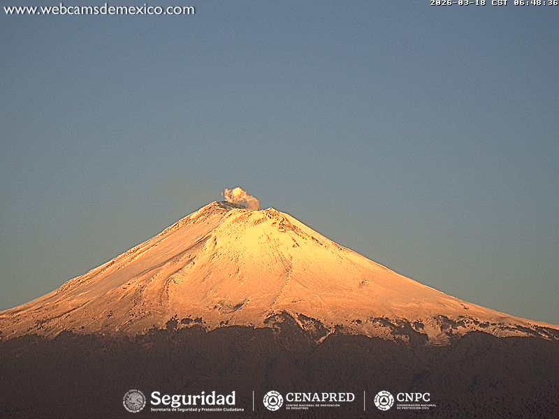 Webcams de México tweet media