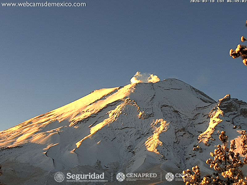 Webcams de México tweet media
