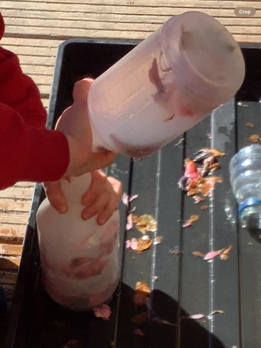 St James's Catholic Primary School tweet media